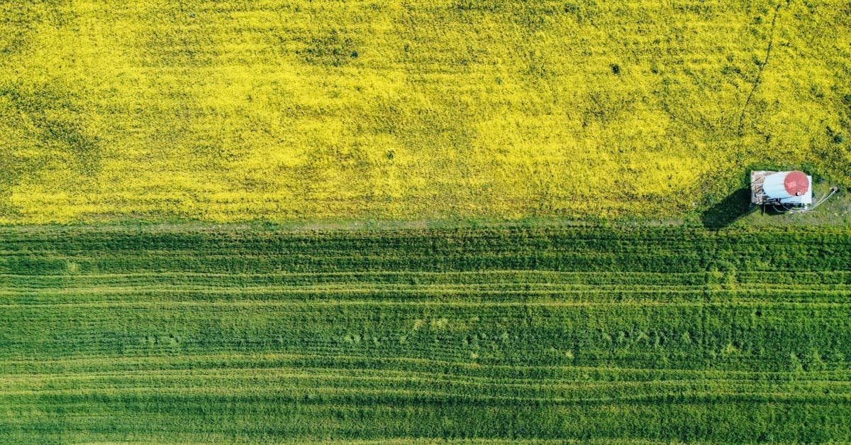 GPS na trawniku: który robot koszący naprawdę dowozi? Test i ranking 2026