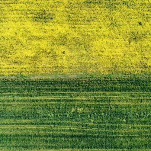 GPS na trawniku: który robot koszący naprawdę dowozi? Test i ranking 2026